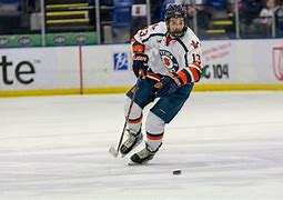 Image result for Utica College Hockey