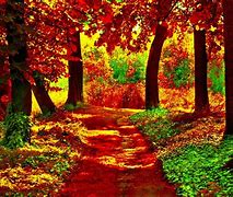 Image result for Nature Wallpaper for PC HD Full Screen
