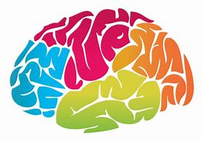 Image result for Colorful Cartoon Brain