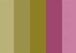 Image result for Rose Gold Solid Color