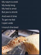 Image result for Snek Memes Clean