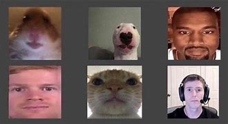 Image result for Zoom Face Meme