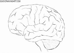 Image result for Use Your Brain Drawing