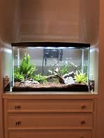 Image result for 29 Gallon Fish Tank