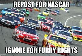 Image result for Furry NASCAR Art