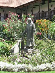 Image result for St. Francis Cartoon