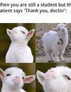 Image result for Funny Medical Student Memes