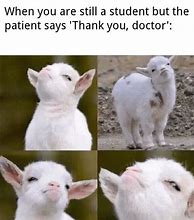 Image result for Medical Student Wound Memes