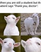 Image result for Med School Memes