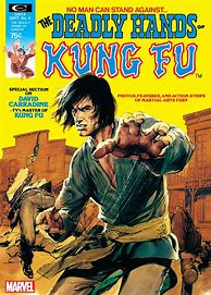 Image result for The Catdeadly Hands of Kung Fu