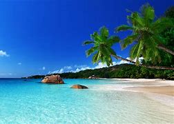 Image result for Ocean and Tropical Beaches