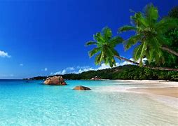 Image result for Tropical Beach Wallpaper