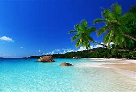 Image result for Tropical Beach Pictures