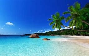 Image result for Laptop Beach