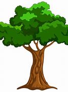 Image result for Cartoon Tree Transparent Background
