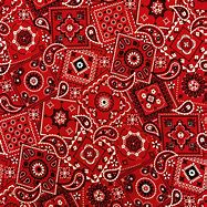 Image result for Bandana Fabric by the Yard