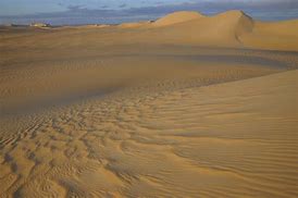 Image result for Asia Desert