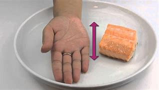 Image result for 4 Oz Salmon Size