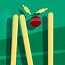 Image result for Cricket Anime Out