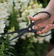 Image result for gardening scissors big one