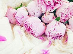 Image result for Rustic Peony Bouquet Wallpaper