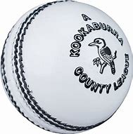 Image result for Cricket Wicket Cartoon Png