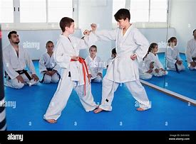 Image result for Boys Martial Arts Sparring