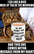 Image result for Cat Tea Meme