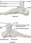 Image result for What Is Linear Feet