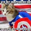 Image result for America Cat Meme