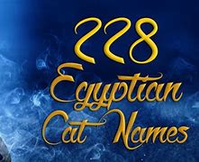 Image result for Egyptian Cat Names
