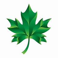 Image result for Green Maple Leaf Logo