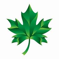 Image result for Maple Leaf Vector Clip Art