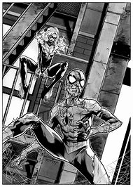 Image result for Spider-Man Black Cat Coloring Page