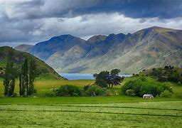 Image result for New Zealand Nature