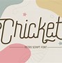 Image result for Cricket Letters