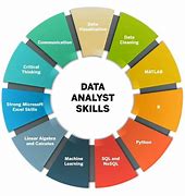 Image result for Data Analyst Person