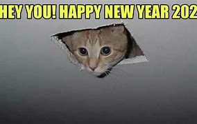 Image result for Happy Mew Year Meme