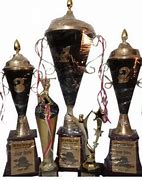 Image result for Cricket Trophee