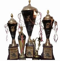 Image result for Cricket Trophy Cups