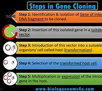 Image result for Clone Genetics