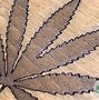 Image result for Engraving for Weed Case
