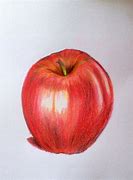 Image result for Apple Leaf Drawing