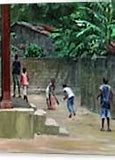 Image result for Adults Backyard Cricket