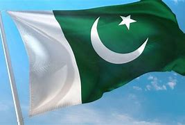 Image result for Pakistan Flag Day