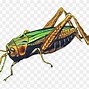 Image result for Cricket Bug Sticker