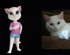Image result for Talking Angela Real Cat