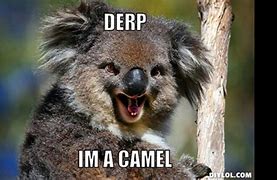 Image result for Kangaroo Koala Meme