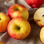 Image result for Honeycrisp Apple Tree Care