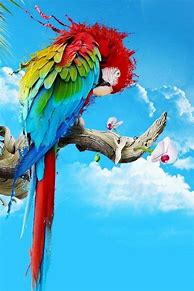 Image result for Colorful iPhone